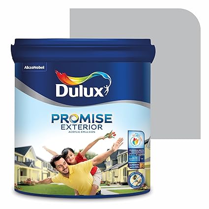 Dulux Promise Exterior Emulsion Paint (10L, Silver Trophy) | Ideal for Exterior Walls | Smooth Finish | Anti-Peel & Anti-Crack | Long-Lasting Colors