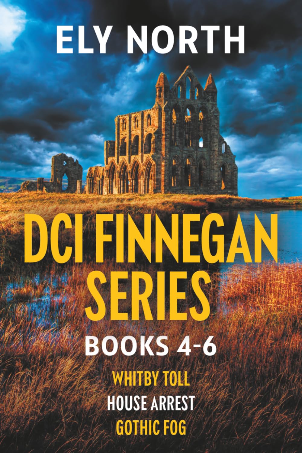 DCI Finnegan Series: Books 4 - 6 in the intoxicating and enthralling Yorkshire crime thrillers! (A DCI Finnegan Yorkshire Crime Thriller)