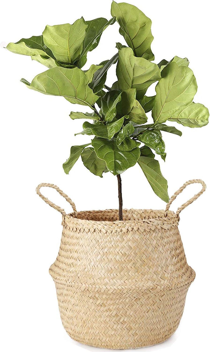 Large Seagrass Belly Basket | Handwoven Storage Basket with Handles for Laundry, Picnic, Pot Cover, Decor | Vintage Yellow Natural, Eco-Friendly Household Items