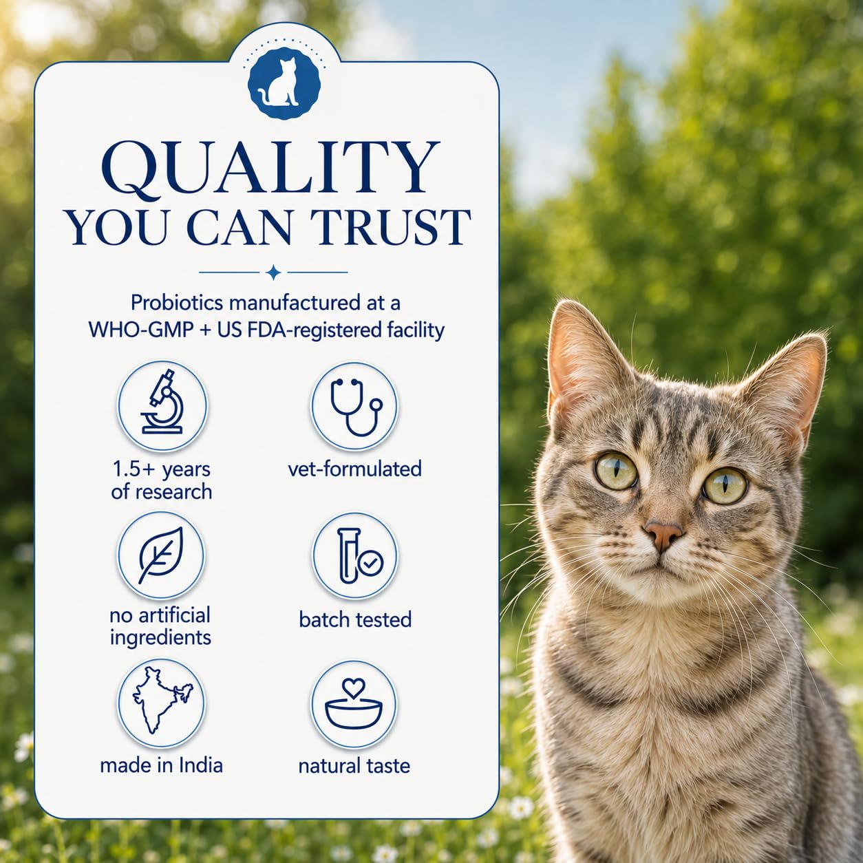 Cat Gut Health Supplement | Targeted Gut Health Support | 6 Billion CFU Probiotics for Loose Stools, Vomiting, Gas and Paw Licking | L-Methionine for Urinary Health | 300g — Amazon image 7