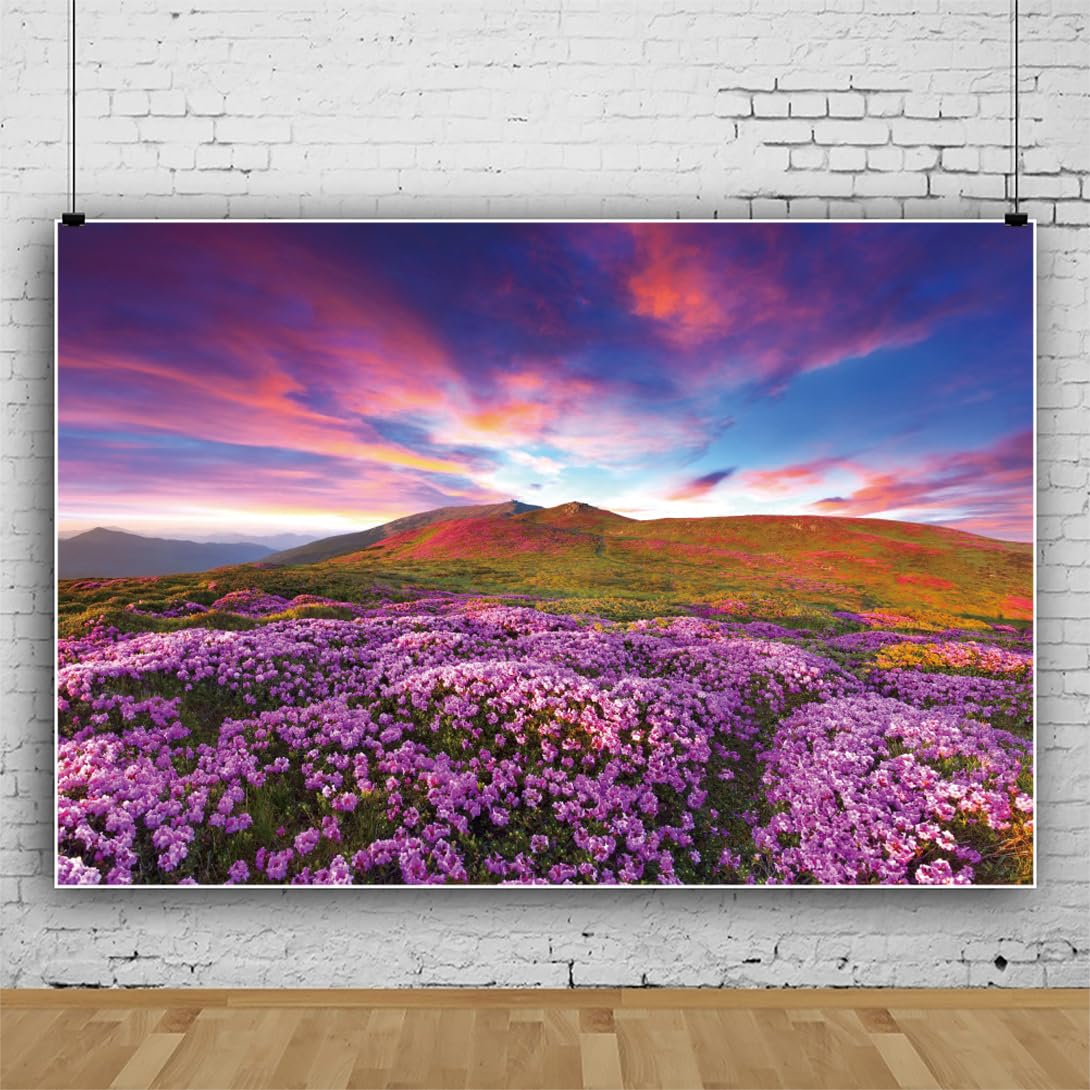 Sfondo Fotografia Fiori Di Ciliegio - 2,2x1,5m Vinile - Per Ritratti E Eventi - Foto 12