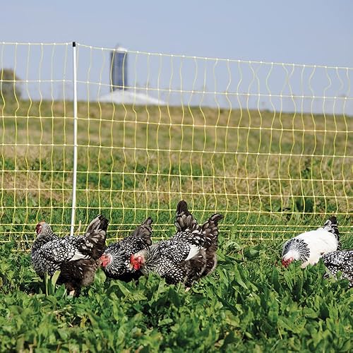 Miniatura 4 de Premier 1 Red eléctrica portátil para pollo con postes incorporados, 48 pulgadas de alto x 164 pies de largo, valla amarilla para aves de corral