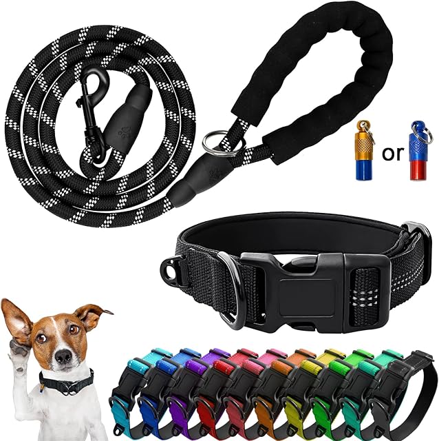 Mauts Dog Collar,Adjustable Dog Collar and Lead Set for Large Medium Small Dogs.(Small, Black)