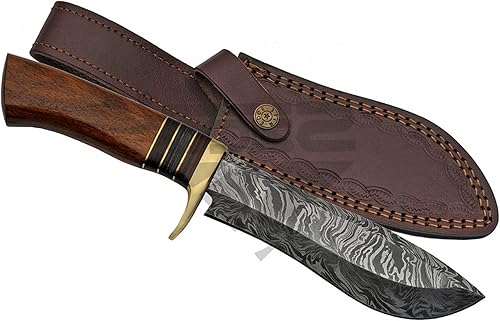 Damascus Steel Fixed Blade Knife 11" Overall Hunting Blade Wood Pro Tactical Limited Camping Outdoor Knife Blade Tigr0M03188