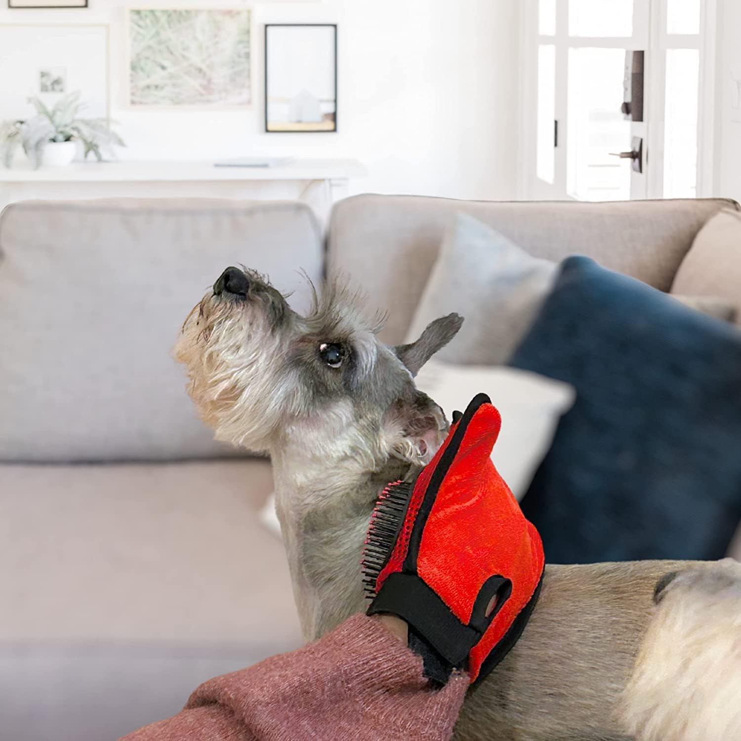 Pet Grooming Glove - Right Handed Brush for Dogs & Cats - Gently Remove Loose Hair & Massage Pets with Ease