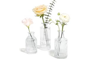 ComSaf Glass Bud Vases (Pack of 3)