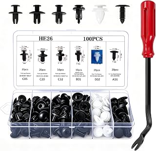 100PCS Car Clips Fasteners, Bumper Retainer Clips Automotive Plastic Rivets | 6 Popular Sizes Fender Lliner Clips, Automotive Body Clips with Removal Tool for Most Cars, Trucks, SUVs