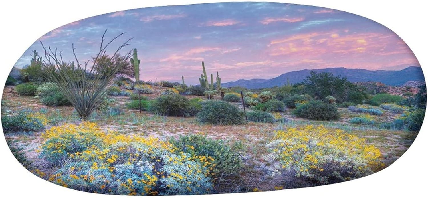 Oval Fitted Tablecloth, Cactus Elasticized Polyester Table Cover,Sunset in Mountain Sun Beams Clouds Bushes Colored Flowers Print Fitted Table Cloth, Fits Oval Tables up to 42" x 60", for Dining