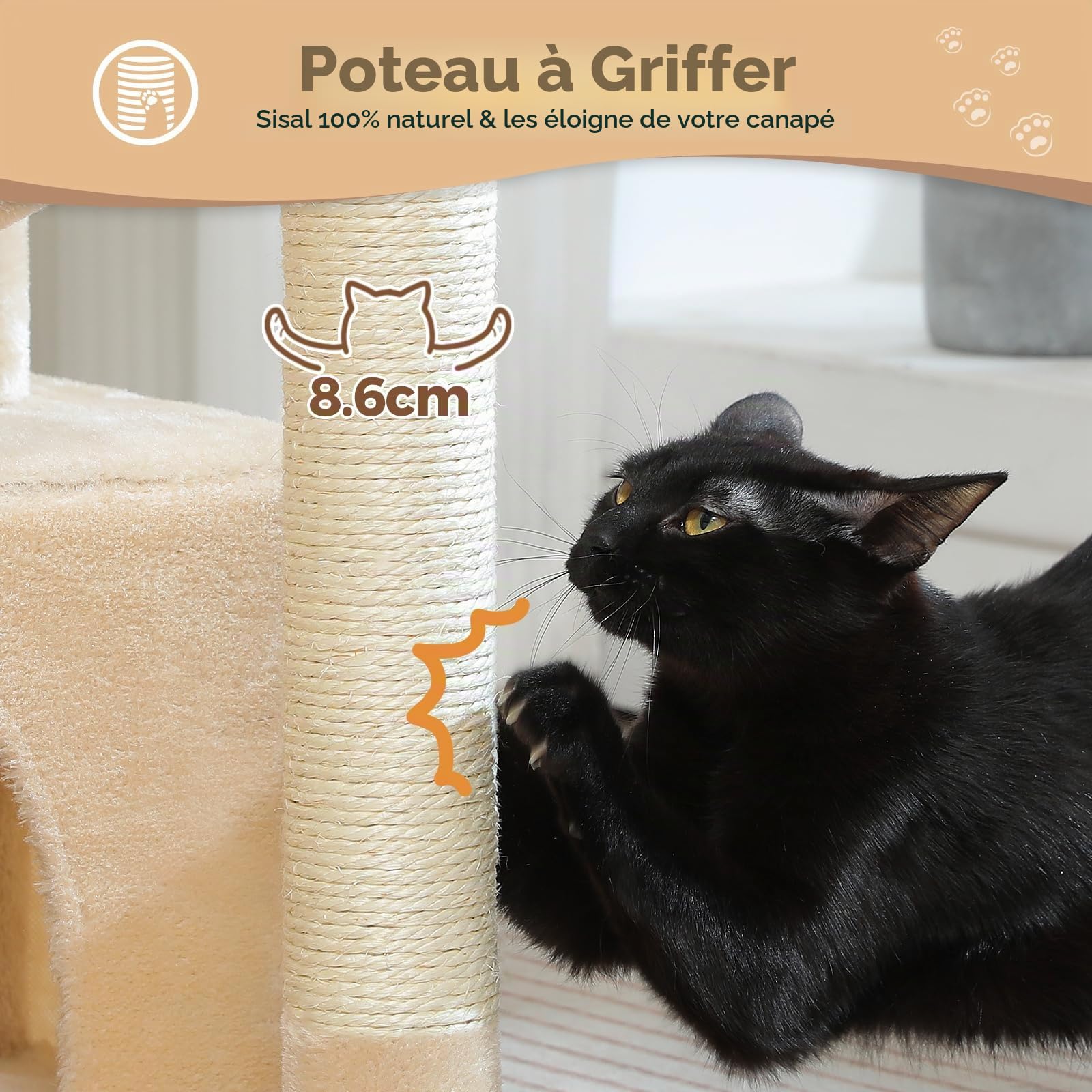 PAWZ Road Arbre à chat d'intérieur pour chat avec grand hamac 79 cm