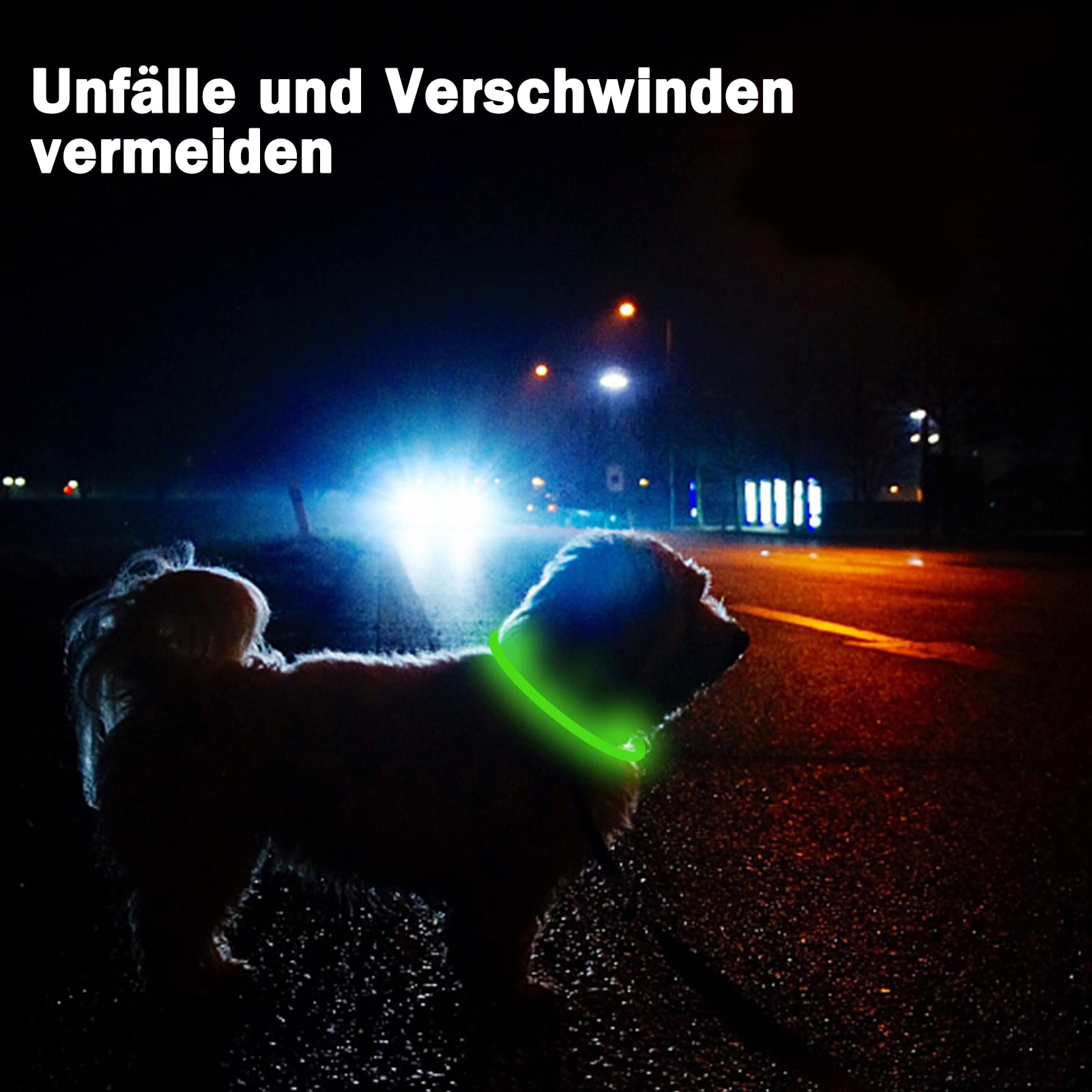 Nepfaivy Leuchthalsband Hund USB Aufladbar - Wasserdichtes Hundehalsband Leuchtend mit 3 Beleuchtungsmodi… – Ansicht 6