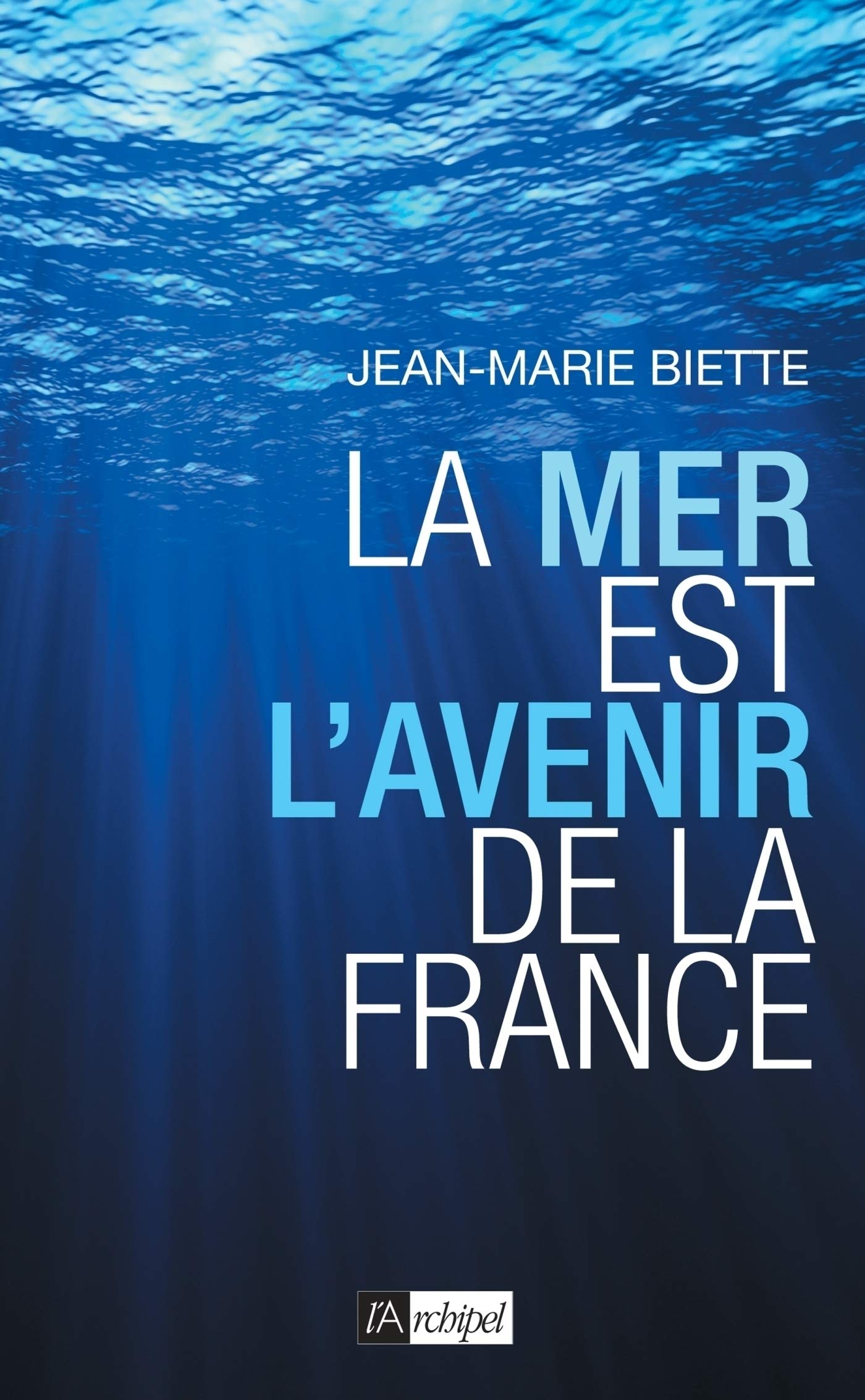 La mer est l'avenir de la France (French Edition)
