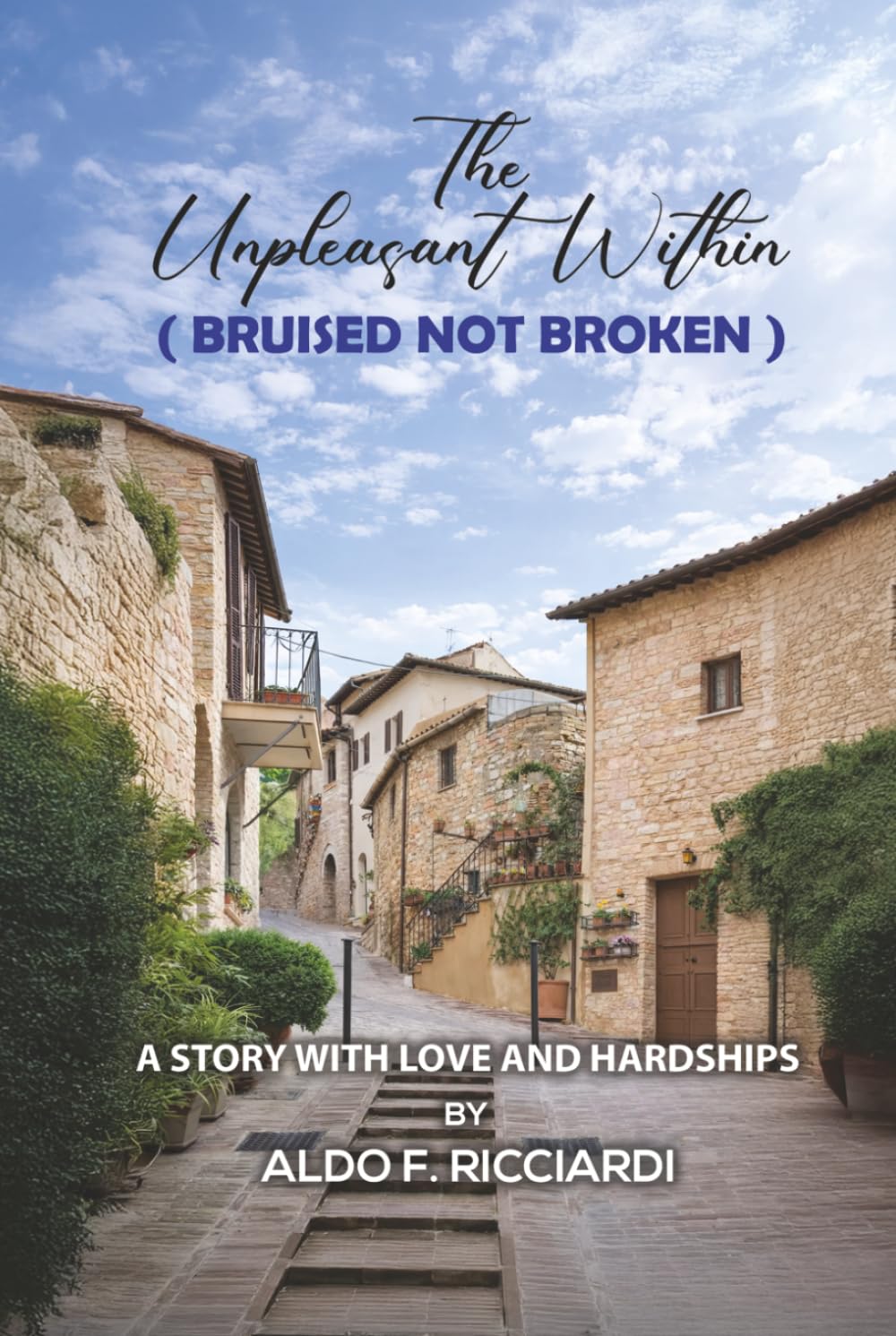 The Unpleasant Within (BRUISED NOT BROKEN): A STORY WITH LOVE AND HARDSHIPS