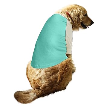 Ruse.Pet Clothes Solid Raglan Full Sleeves Round Neck Dog Streetwear T-Shirt/Tees Apparel for Dogs./X-Large (Full Grown Retrievers, Labs etc.)