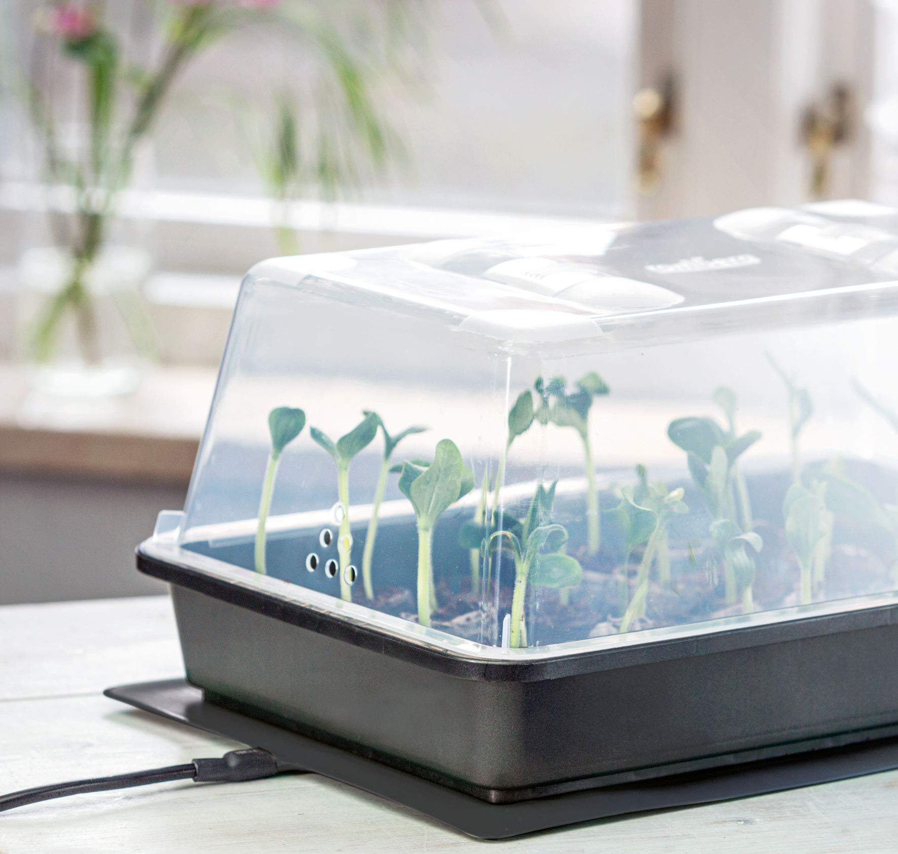 Roberg Serre XXL (Anthracite, Gouttière, Profondeur, Curseur