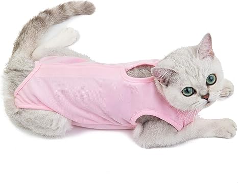 Amazon.com: Gatito Esterilización Chaleco Gato Traje Abrigo Ropa Anti-lamer  Destete Mameluco Suministros Para Mascotas Regalo Para Su Mascota - Azul S  : Productos para Animales