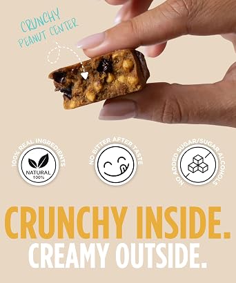 Peanut Butter Protein Bar with Chocolate Chips | High Protein High Fiber Keto Snacks for Gut Health, Gluten Free Low Carb Peanut Butter Snacks with Organic Ingredients for Weight Loss, Vegan Protein Bars with MCT Oil and Superfood Amla, Clean Protein Bars 100 Calories each | Low Calorie, Zero Sugar Added | Contains 20 Units | 100 CAL SNACKS