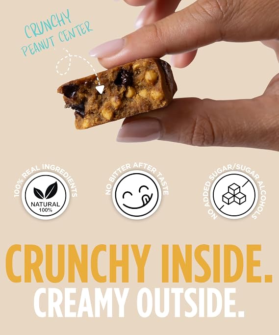 Peanut Butter Protein Bar with Chocolate Chips | High Protein High Fiber Keto Snacks for Gut Health, Gluten Free Low Carb Peanut Butter Snacks with Organic Ingredients for Weight Loss, Vegan Protein Bars with MCT Oil and Superfood Amla, Clean Protein Bars 100 Calories each | Low Calorie, Zero Sugar Added | Contains 20 Units | 100 CAL SNACKS