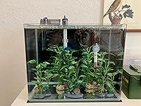 Review Image by Oklahoma Mom Oklahoma Mom