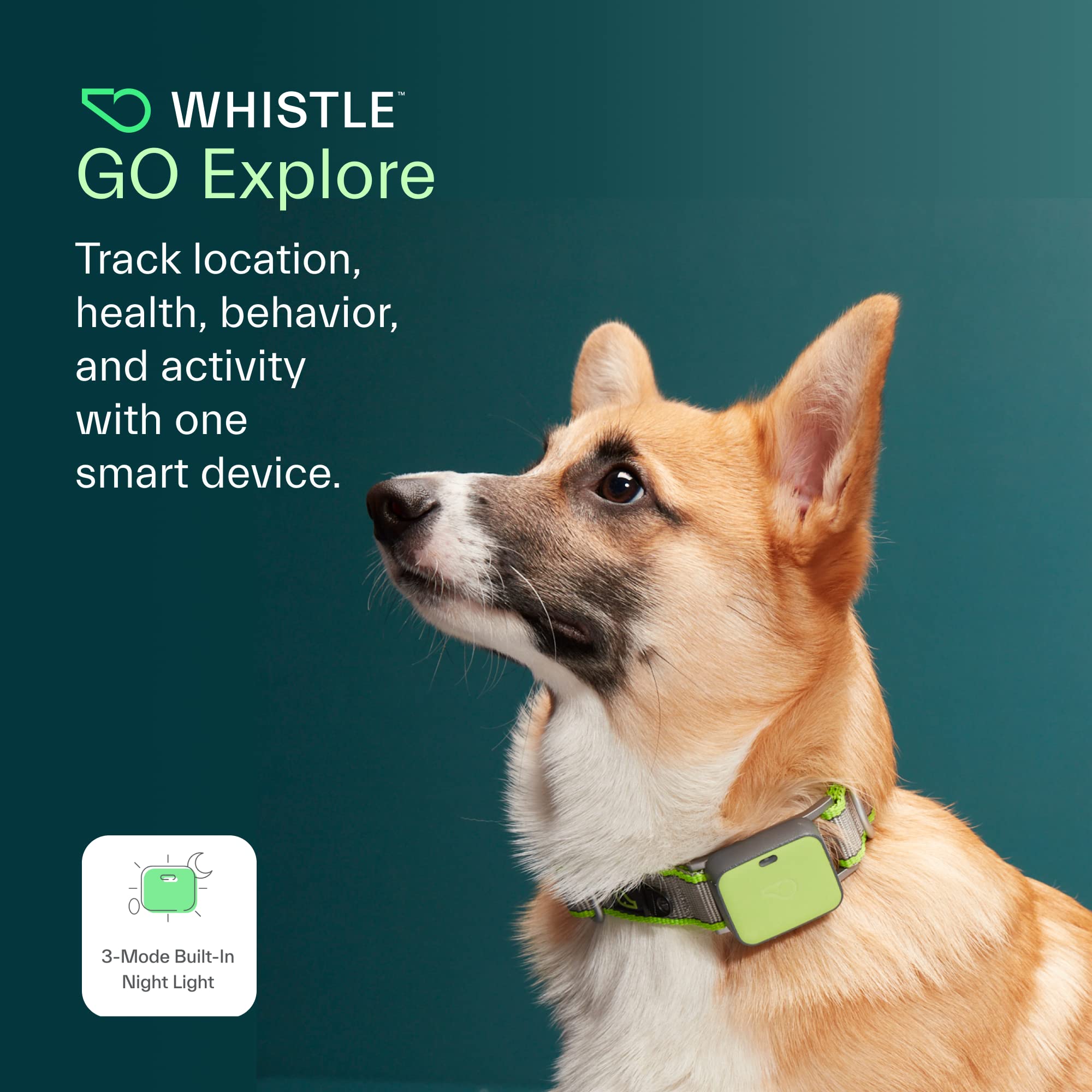 whistle go pet tracker