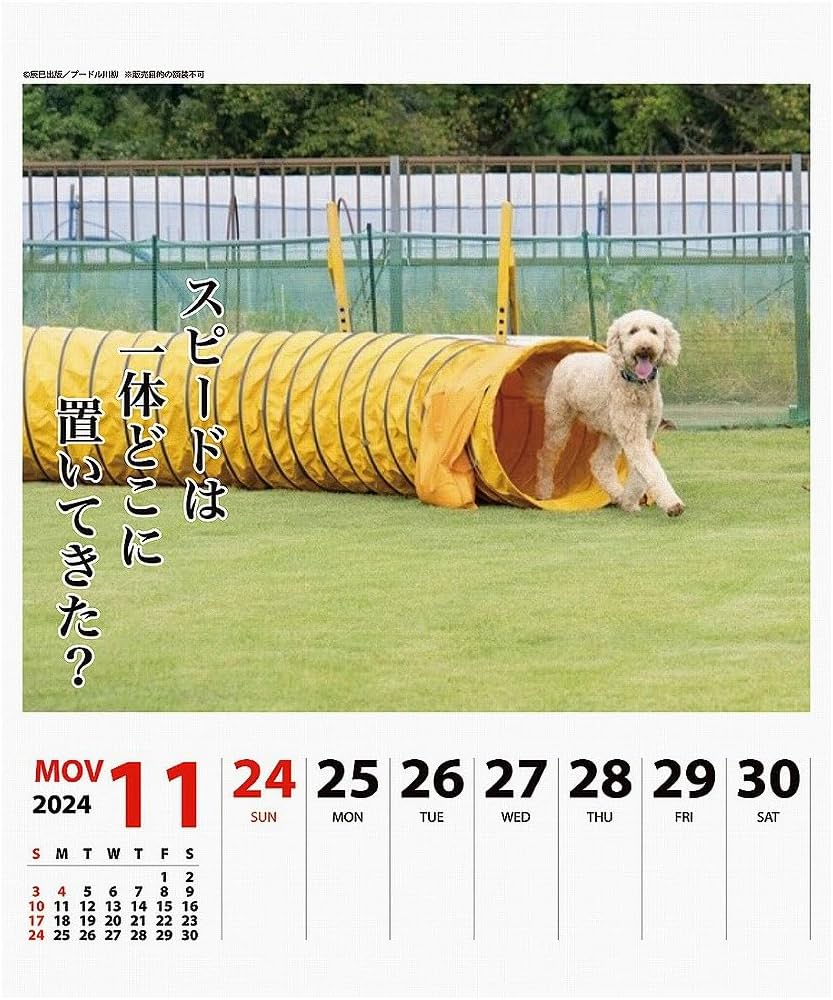 アンティーク　プードルの日めくりカレンダー アンティークプードルの日めくりカレンダー