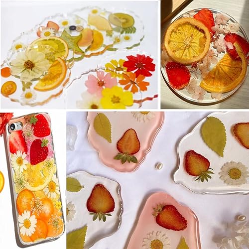 Miniatura 5 de Flores de frutas prensadas secas naturales para molde de resina juego floral de prensado en seco real para hacer joyas tarjetas álbumes de recortes