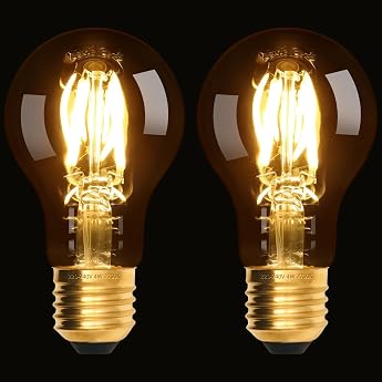 scicent Pack of 2 E27 LED Light Bulbs, Dimmable, A60, 4 W, 2700 K Warm White, Amber Glass, LED Lamp E27 Light Bulbs