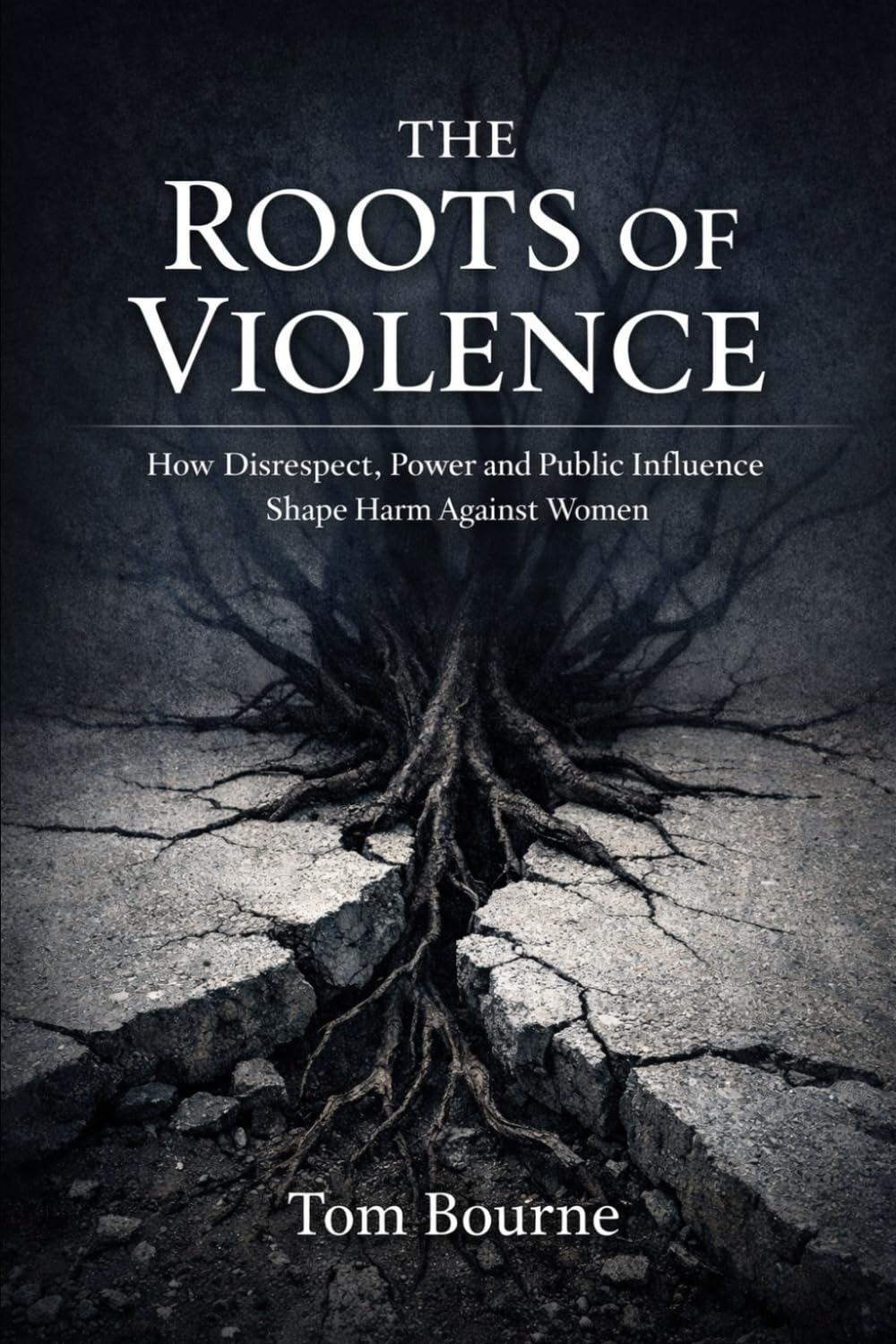 The Roots of Violence: How Disrespect, Power and Public Influence Shape Harm Against Women