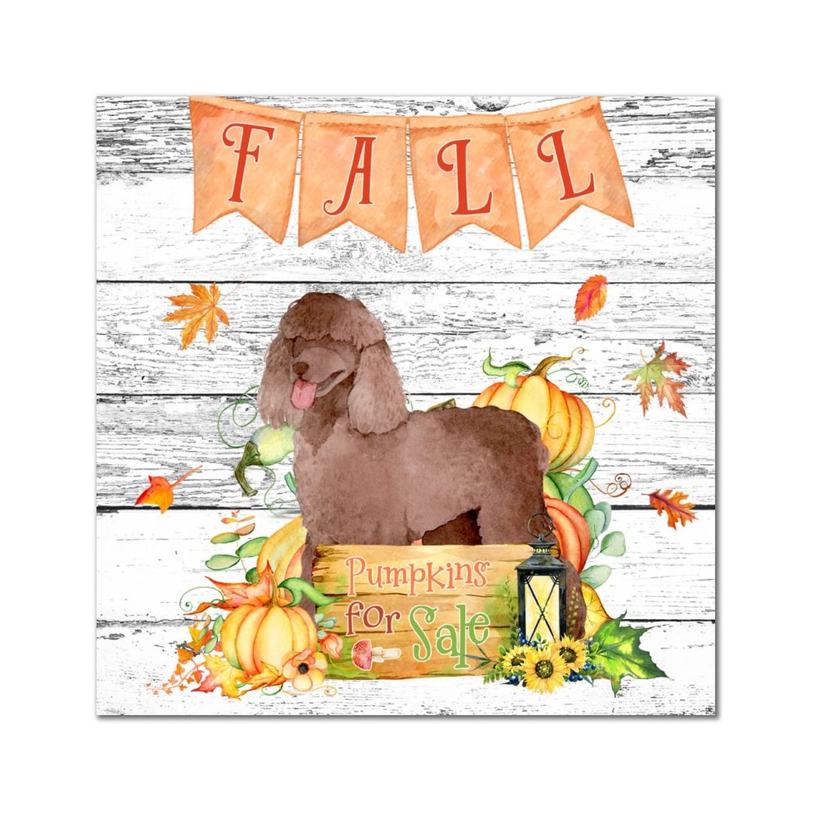 Plaque murale Fall Pumpkins Chowchow bois déco vintage maison salon 35x35cm suspendre