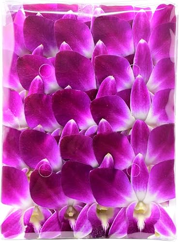Miami Fresh Orchid Flower OrchidClub USA Sunne Tropical Loose Bloom DIY Lei, decoración de alimentos y bebidas (50 morado)