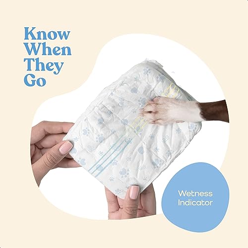 Miniatura 5 de Pañales cómodos para perros machos, paquete de 12 envolturas desechables súper absorbentes para perros machos, tecnología FlashDry Gel con indicador