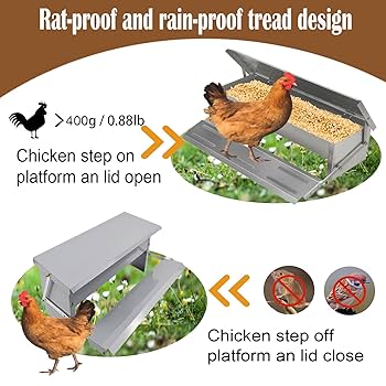 Amazon.com: kathson Automatic Treadle Chicken Feeder,11lbs