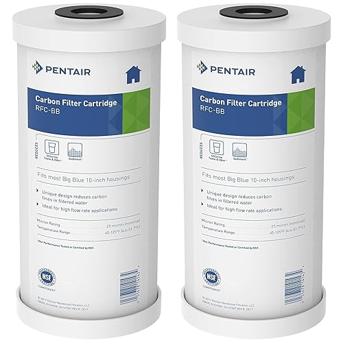Pentair Pentek RFC-20BB - Filtro de agua de carbono azul grande, 20 pulgadas, cartucho de repuesto de carbono de flujo radial resistente para toda