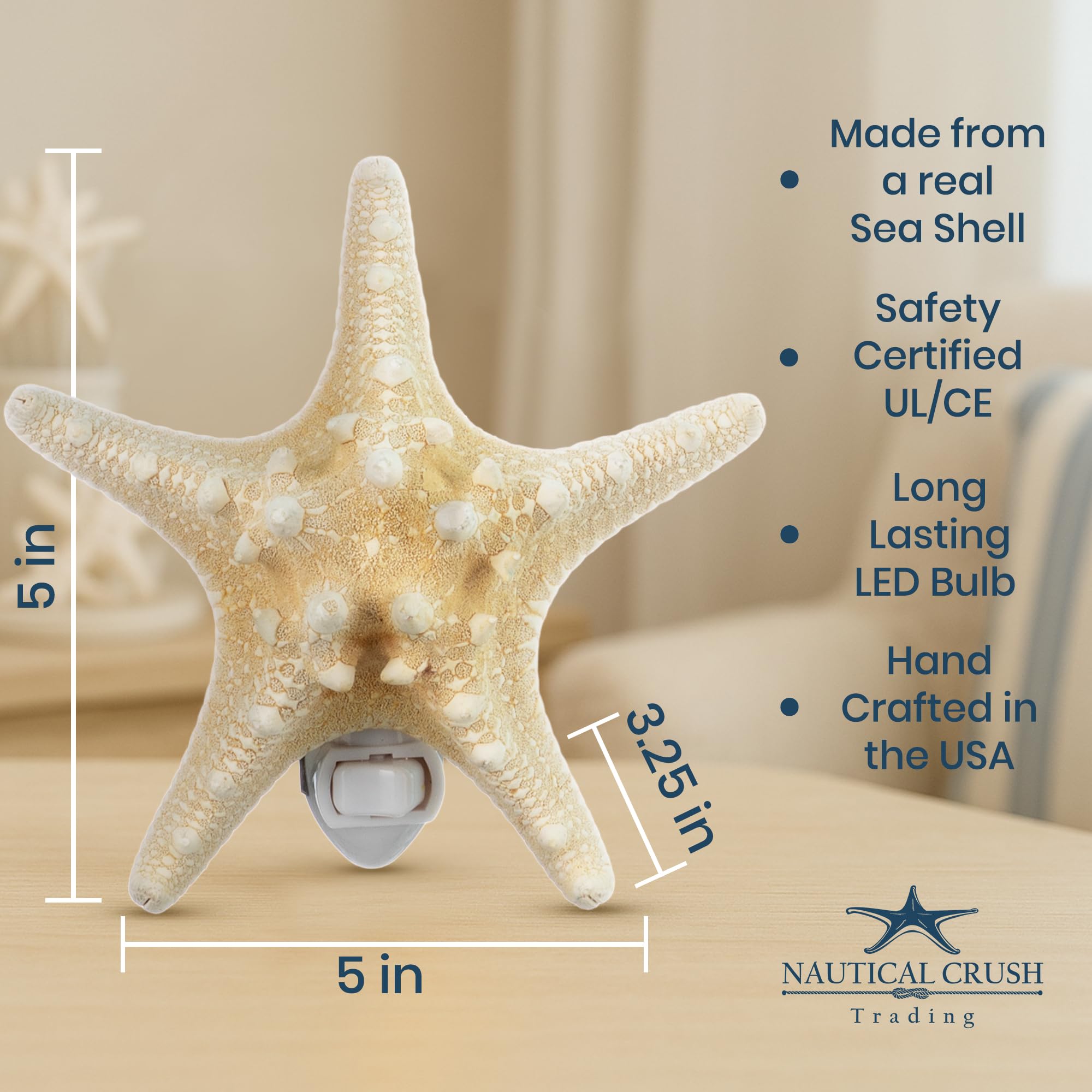 Nautical Crush Trading Real Starfish Night Light – Beach Night
