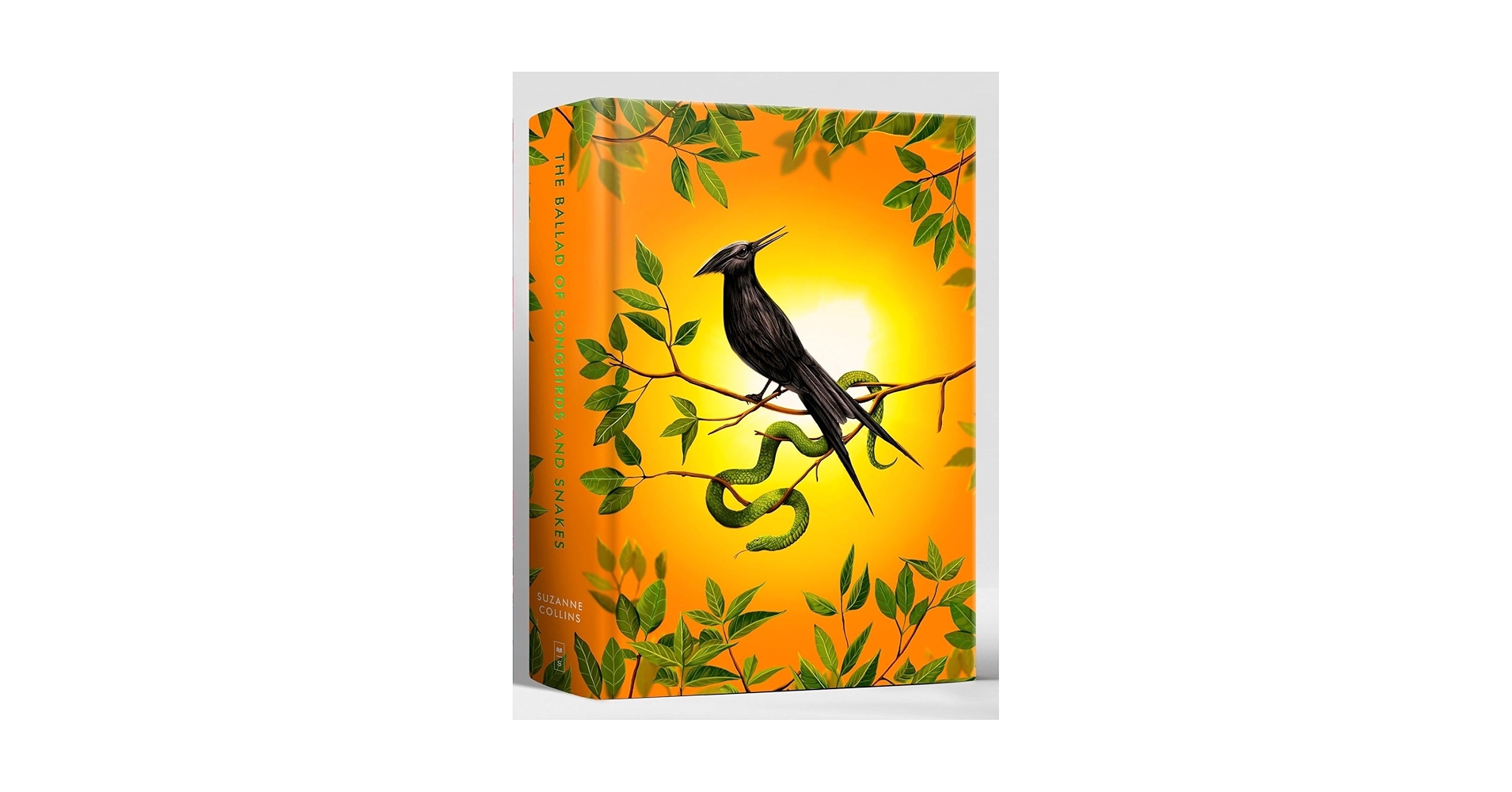 Amazon.com: The Ballad of Songbirds and Snakes