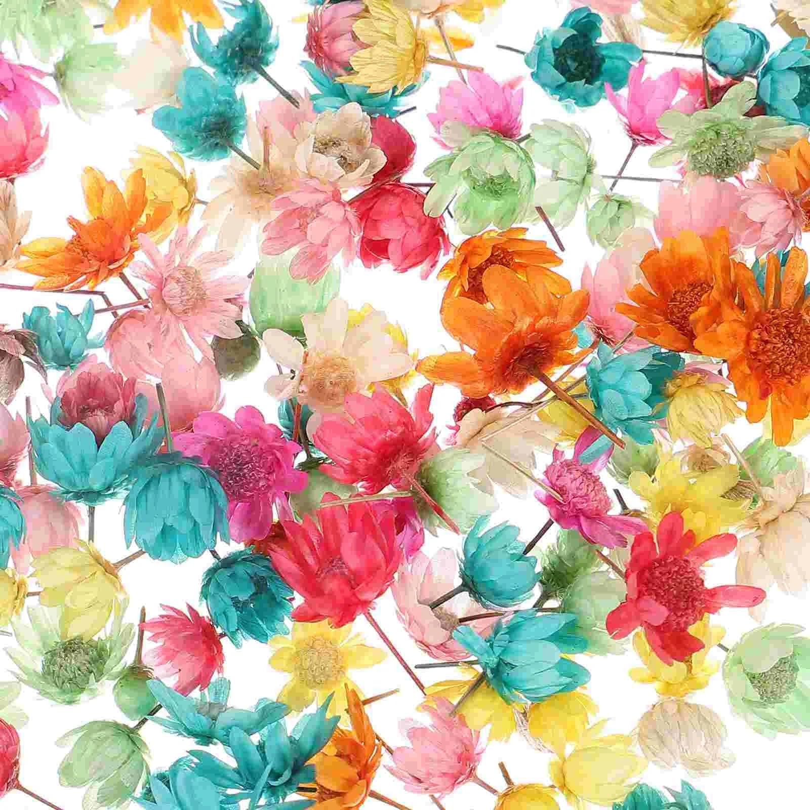Fiori secchi pressati, Fiori pressati essiccati 1 Sacchetto di Fiori secchi Fai da Te Artigianato epossidico for Realizzare Fiori secchi for Realizzare Fiori secchi, Petali secchi Naturali