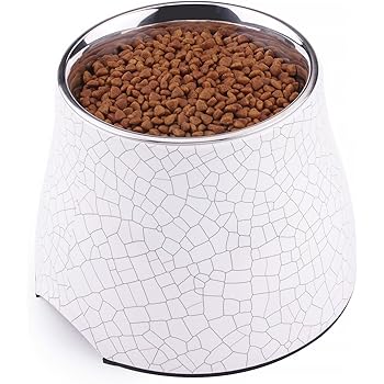 bowsers artisan diner double dog feeder