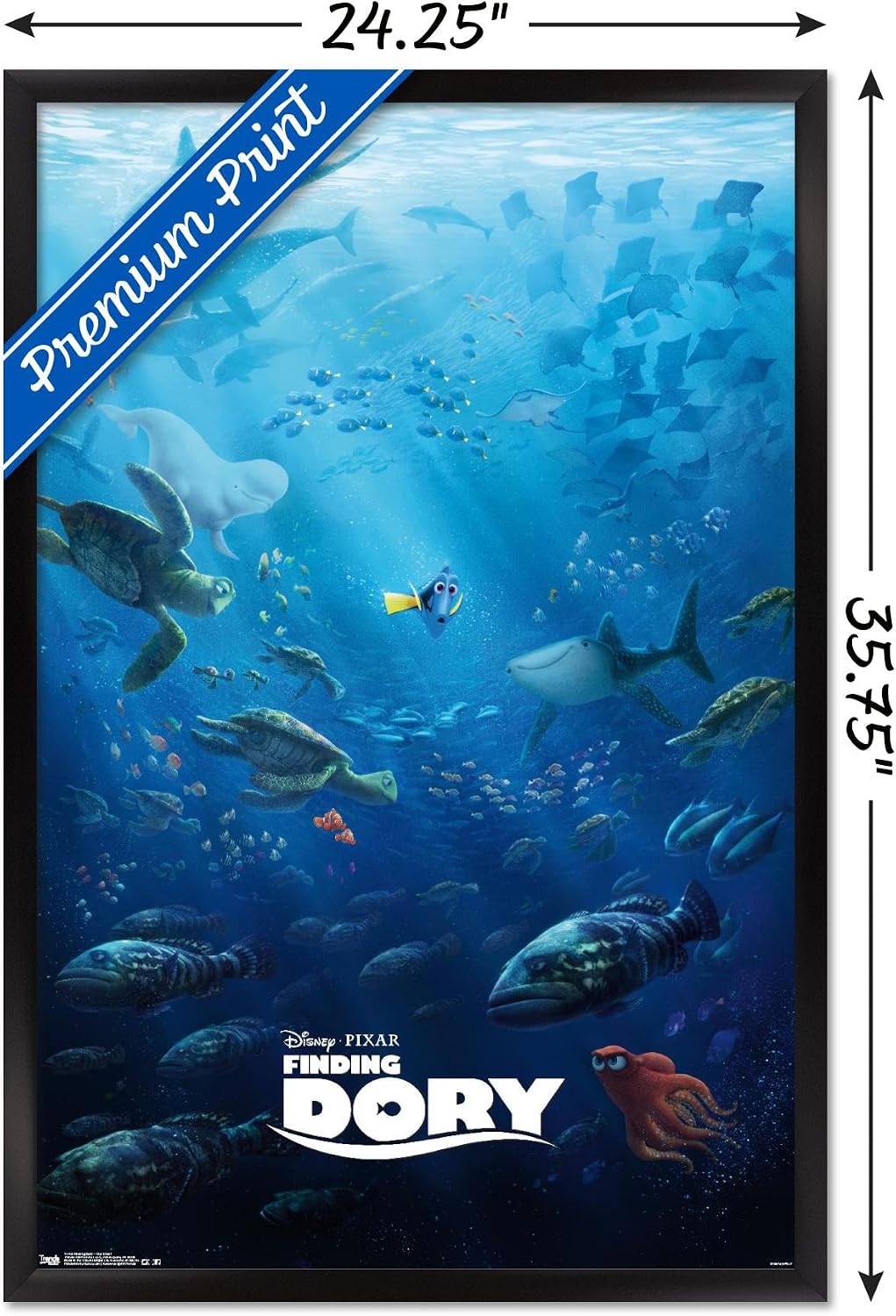 Trends International Disney Pixar Finding Dory - One Sheet Wall Poster, 22.375" x 34", Black Framed Version image 3