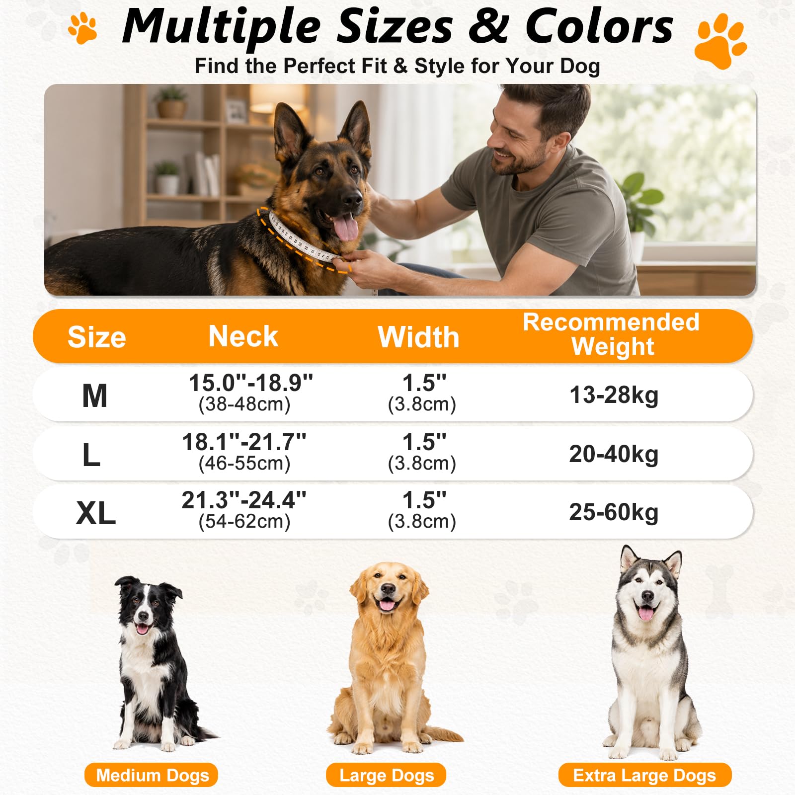 Collare Cane Tattico con Manico, Militare Regolabile (Grigio, L) | Fibbia in Premium D-Ring, Imbottito in Nylon, Resistente e Spesso, per Cani di Taglia Media Grande Caccia Allenamento Caccia