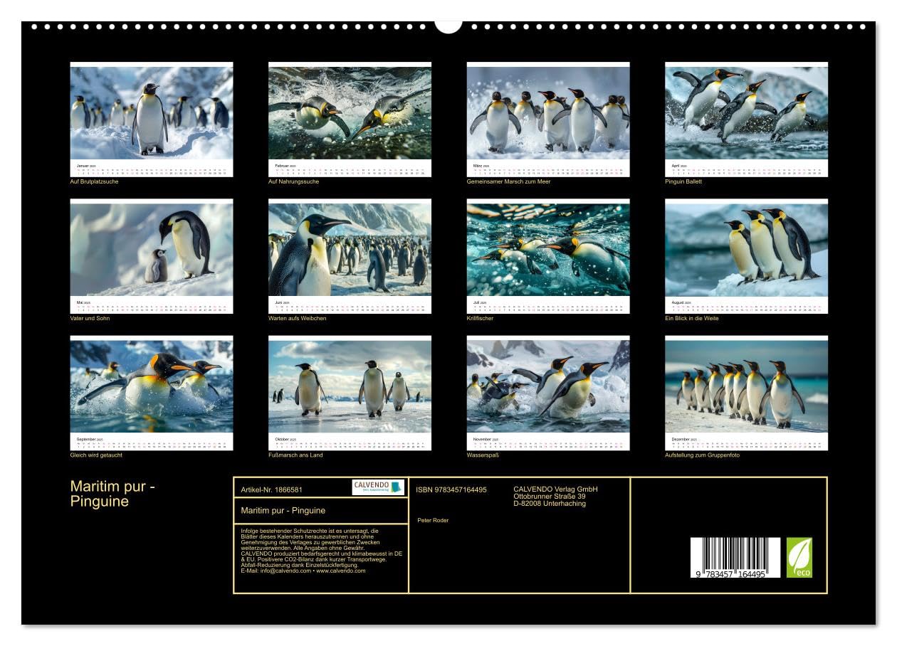 Maritim pur - Pinguine (hochwertiger Premium Wandkalender 2025 DIN A2 quer), Kunstdruck in Hochglanz: Im Wasser elegant und geschickt –an Land ungelenk (CALVENDO Tiere)