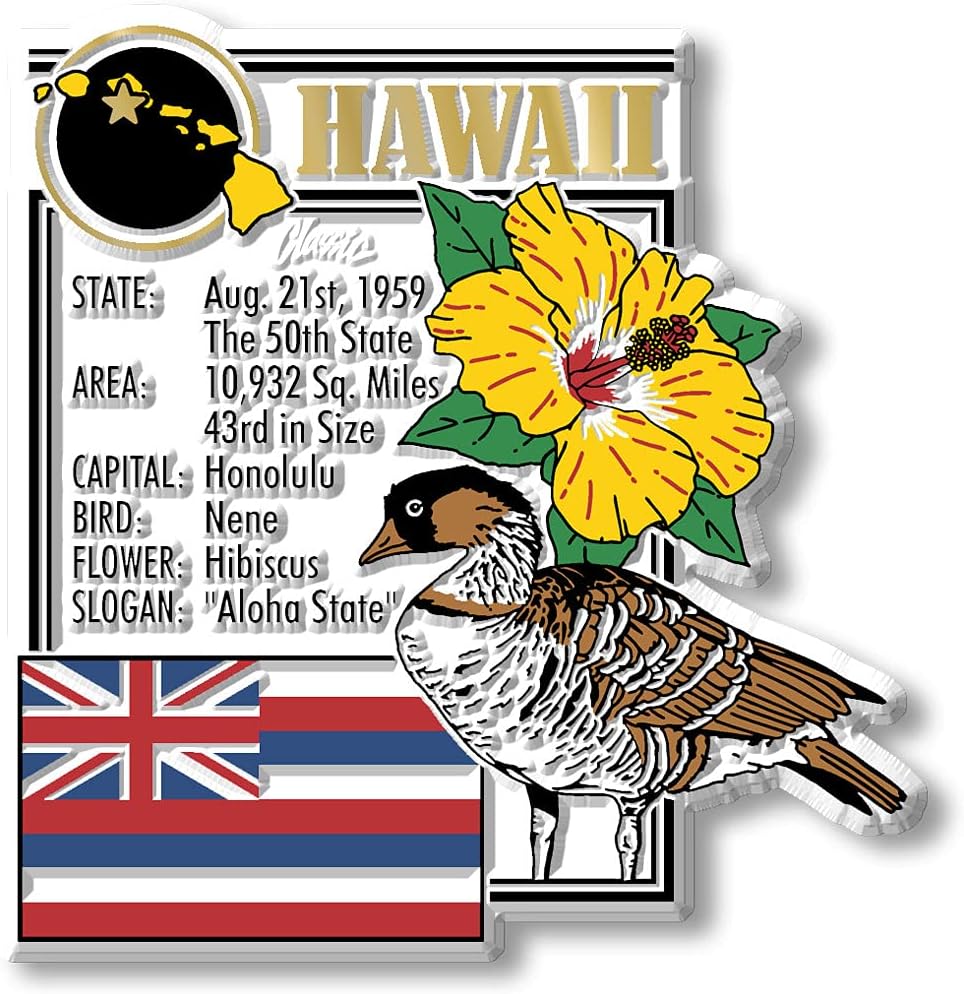 Hawaii Six-Piece State Magnet Set by Classic Magnets, Includes 6 Unique Designs, Collectible 3D Rubber Vintage-Style Souvenirs and Gifts Made in the USA image 2