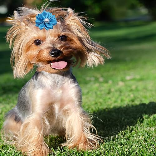 Miniatura 2 de 50 lazos para el pelo de perro con bandas de goma, lazos para el pelo de perro, lazos para vacaciones, suministros para el pelo del perro,