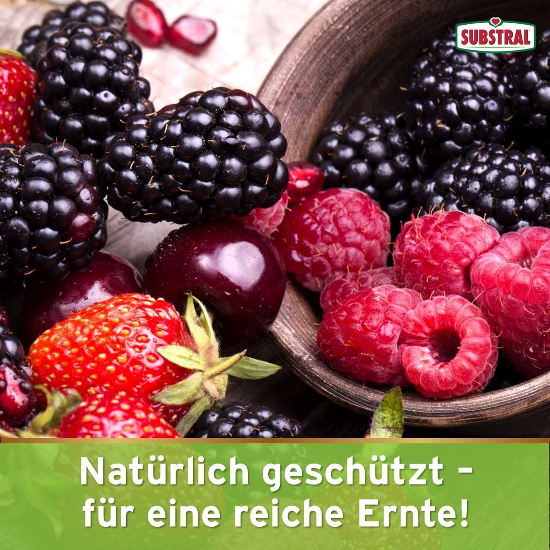 Naturen Bio - Barrera para Caracoles (Resistente a la Lluvia, granulado de Lava Especial para Proteger Caracoles en el jardín, Protege Plantas Ornamentales, Verduras y Frutas, 2,3 kg)