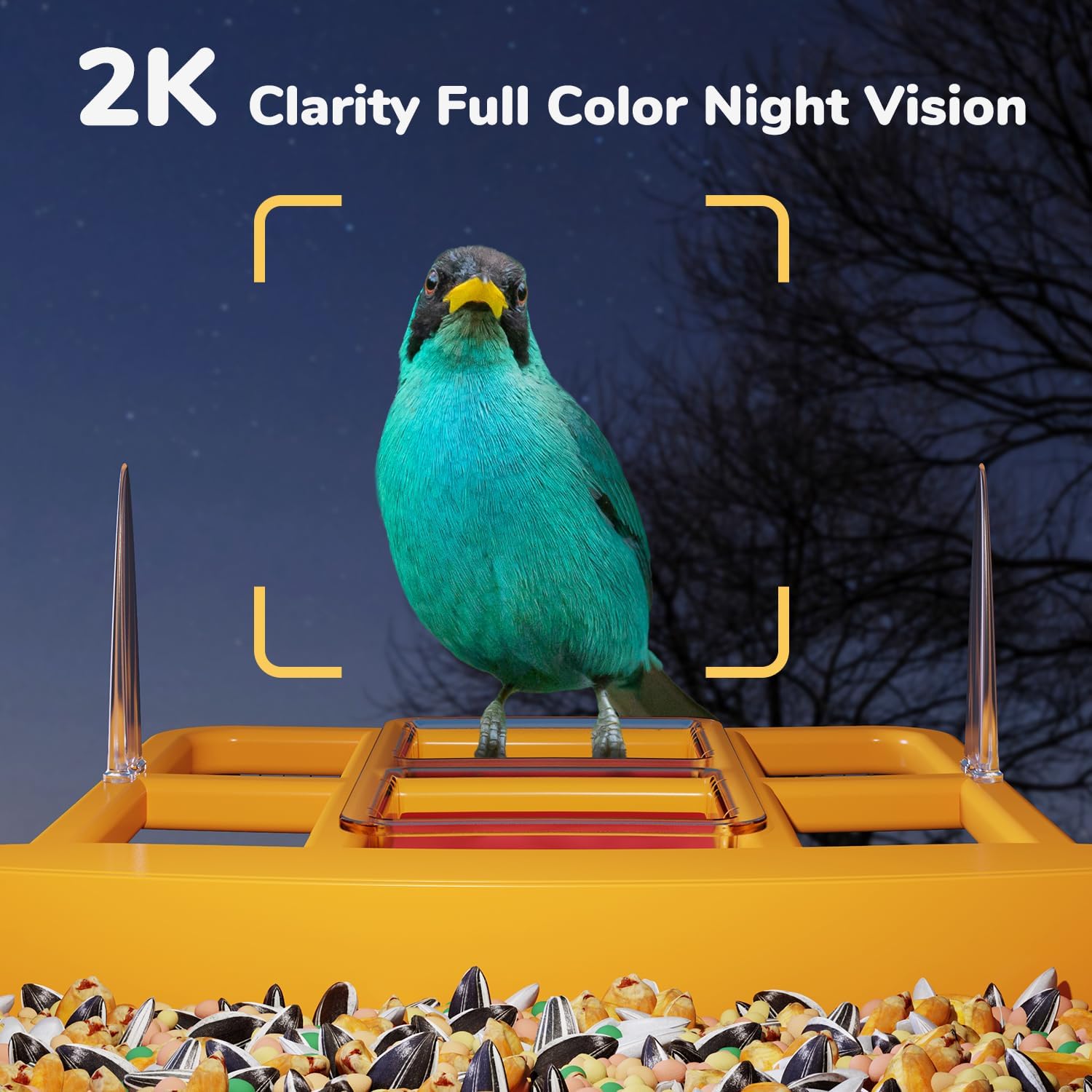 Dzees Smart Bird Feeder with Camera, 32G Card, AI Identify Birds Species, Capture Video, Instant Notifications, Live View, Solar Powered, for Family, Ideal Gifts for Bird Lovers