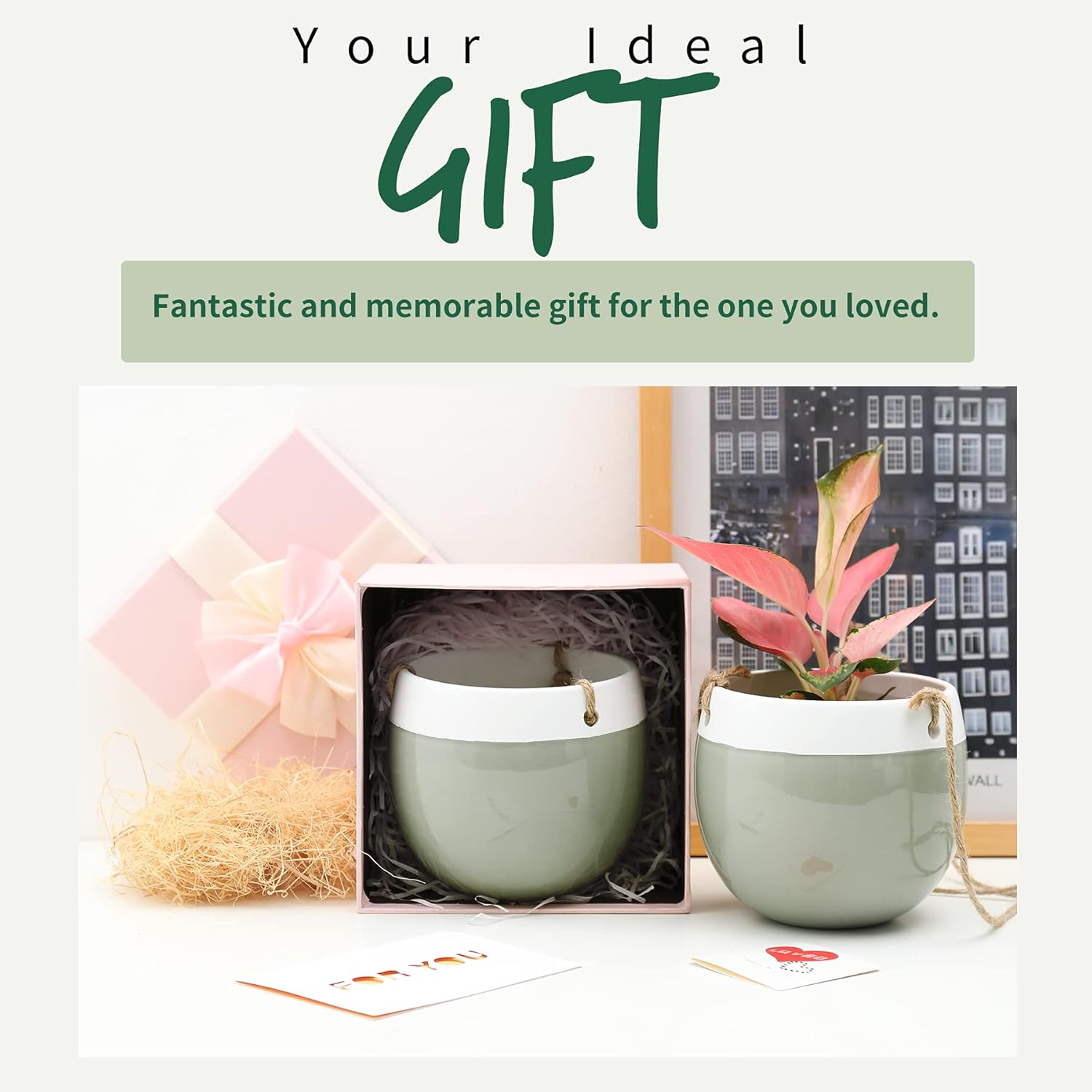 Ceramic Hanging Planters Plant Pots - POTEY 056802 5.3 Inch Indoor Hanging Pots Round Plant Holder Home Decor with Jute Rope for Succulents Herbs Ivy Ferns Crawling Plants Small Plants(Set of 2) : Patio, Lawn & Garden