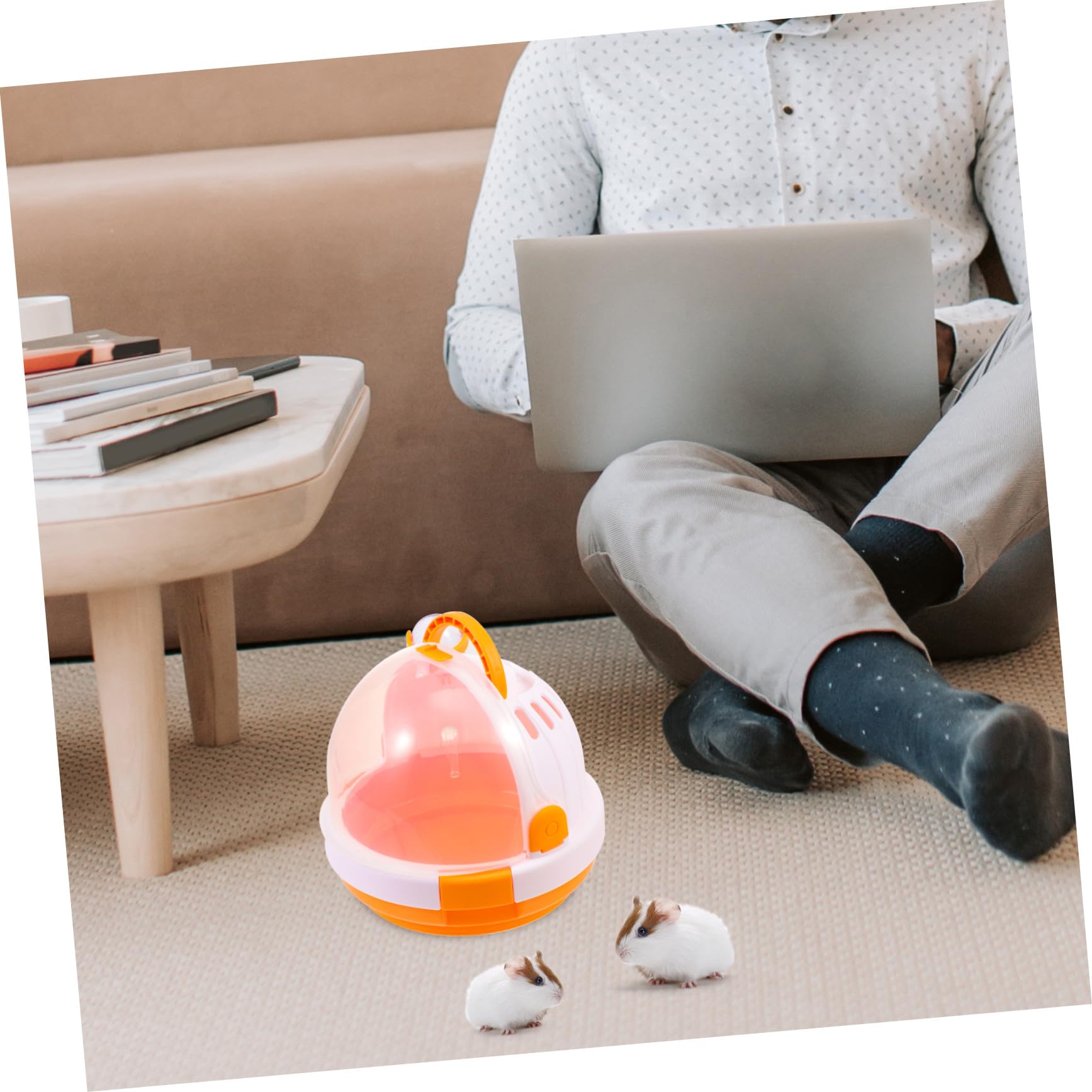 Toyvian Hamster Transportbox aus Pp Tragbar und Robust für Reisen und Außeneinsatz mit Sicherem Verschluss und Praktischem Design