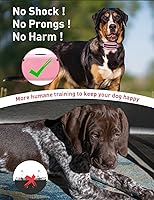Vista 2 de Collar de Entrenamiento para Perros sin Choque, Collar de Perro con Pitido y Vibración con Control Remoto 853M, Collar de Vibración para Perros