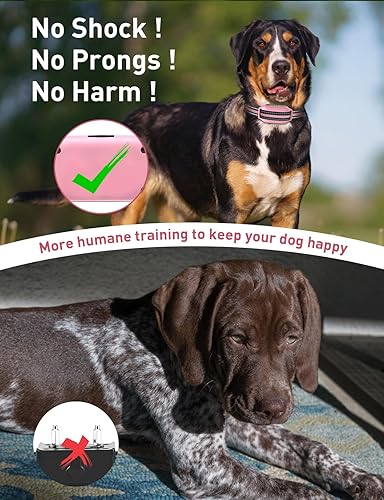 Miniatura 2 de Collar de entrenamiento para perros sin golpes, pitido y vibrante con control remoto de 2800 pies, collar de vibración para perros pequeños,