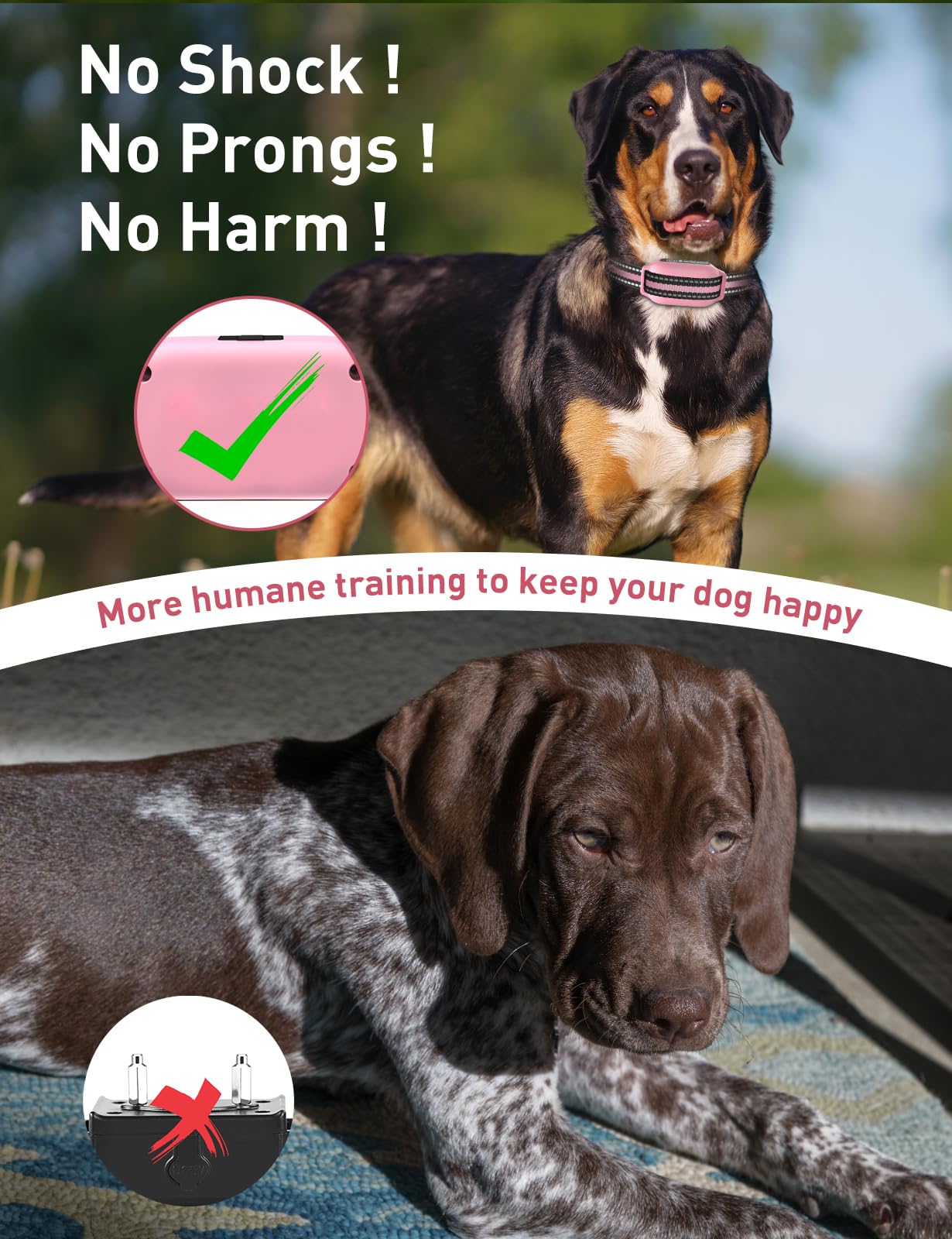Amazon.com: DOGLinsen No Shock Dog Training Collar, Beep and Vibrating Dog  Collar with Remote 2800Ft, Vibration Collar for Small Medium Large Dogs