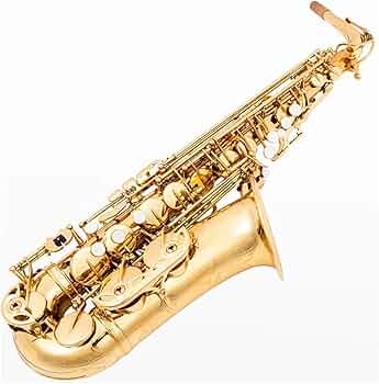 71eNUSLYBFL._AC_UF350,