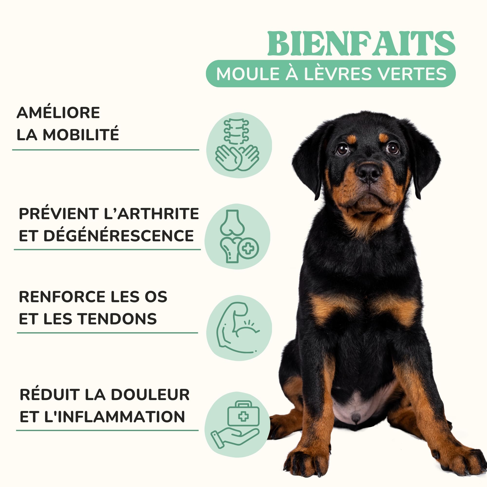 Poudre Moule Verte Chien et Chat pour Prévenir Arthrose Chien, Renforcer Articulations et Les Os avec Glucosamine et Omega 3, Complements Alimentaires Chiens pour Améliorer la Mobilité
